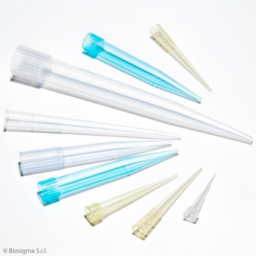 Pipette Tip, Clear